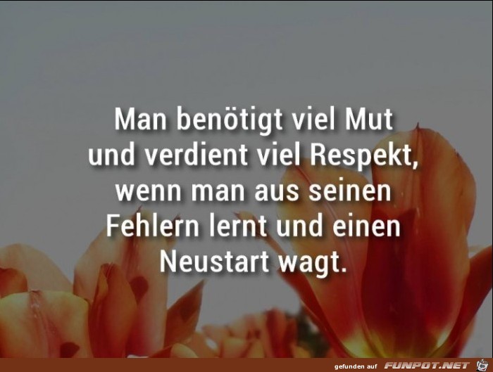 10 schne Sprche und Lebensweisheiten aus...