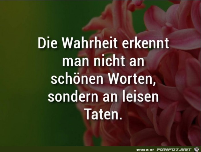10 schne Sprche und Lebensweisheiten aus...