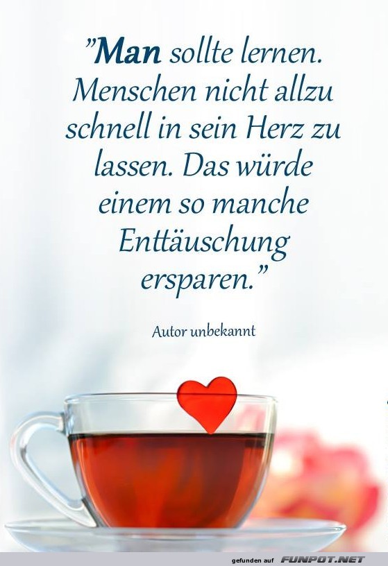 Man sollte lernen