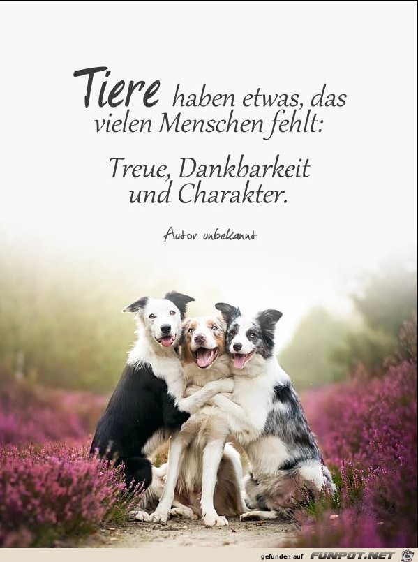10 schne Sprche und Lebensweisheiten aus...