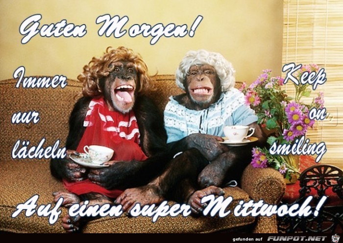 Mittwoch Mittwoch