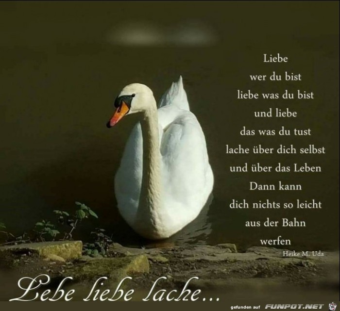 Lebe liebe lache Lebe liebe lache