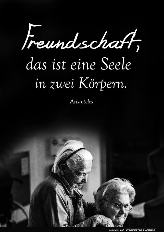 Freundschaft Freundschaft