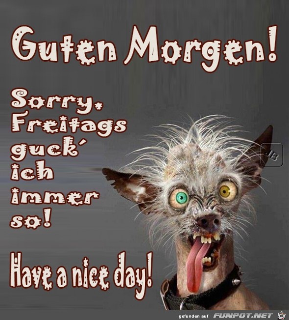 Freitag