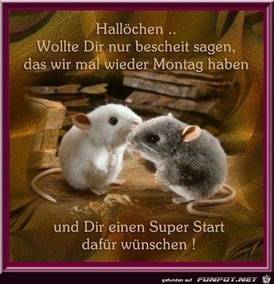 Montag Montag