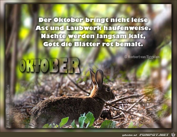 Oktober 2017 Oktober 2017