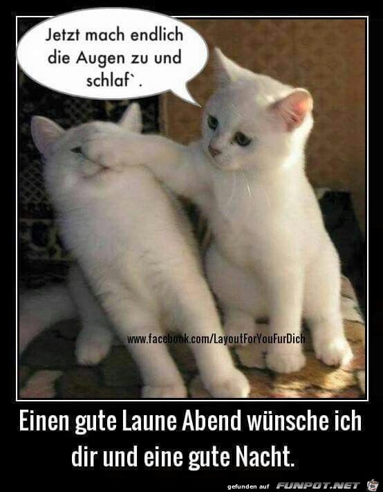 Gute Nacht Gute Nacht