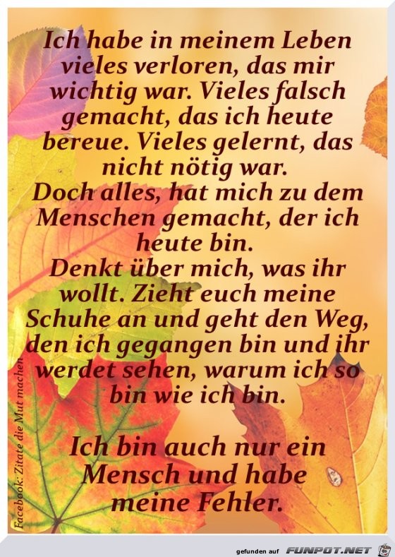 Vieles verloren Vieles verloren