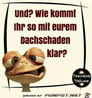 was macht euer Dachschaden?
