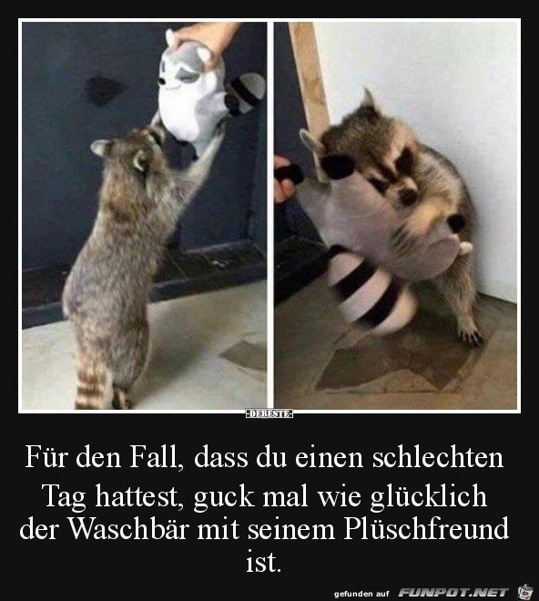 Wie niedlich
