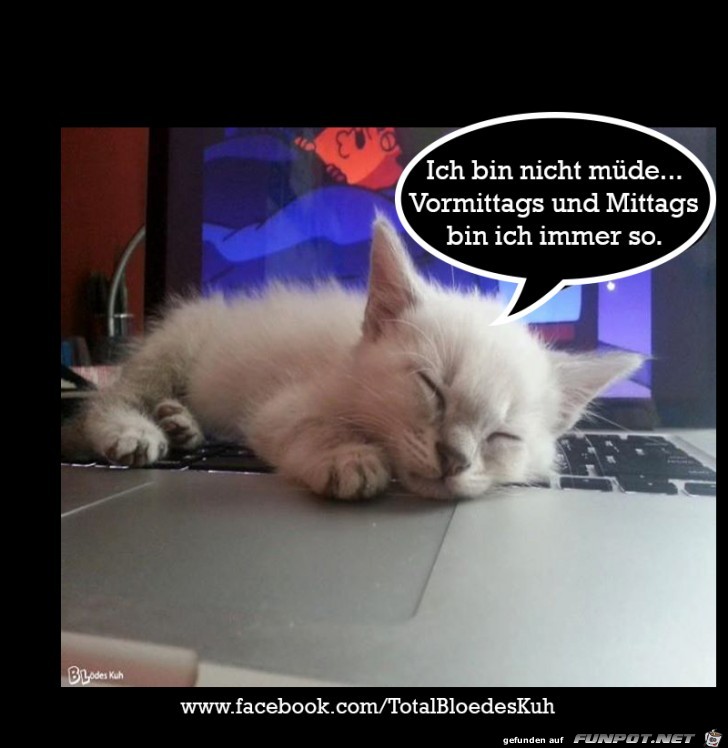 Bin nicht muede