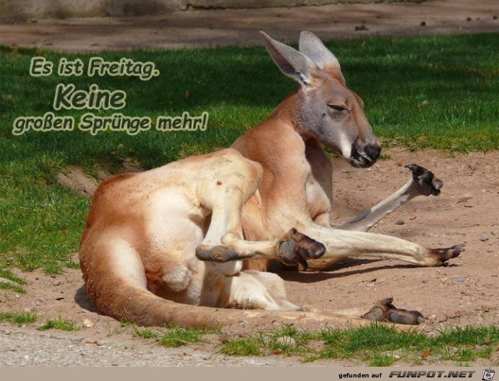 Freitag Freitag