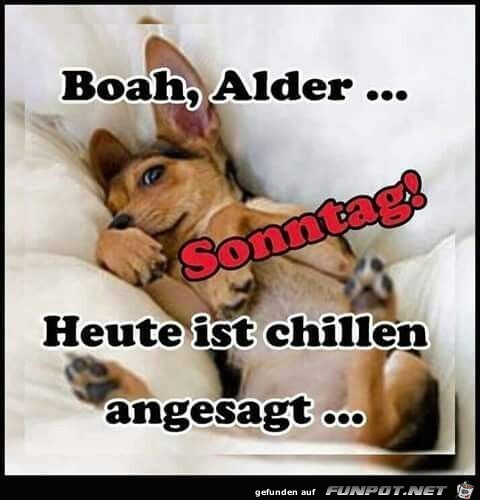 Sonntag