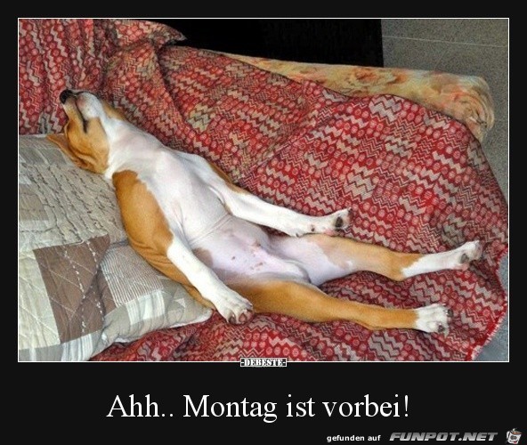 Montag ist vorbei Montag ist vorbei