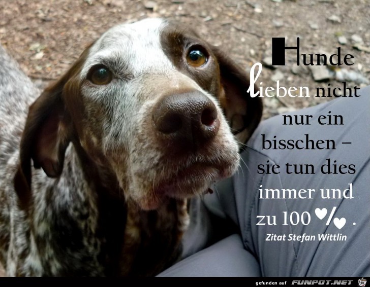 10 schne Sprche und Lebensweisheiten aus...