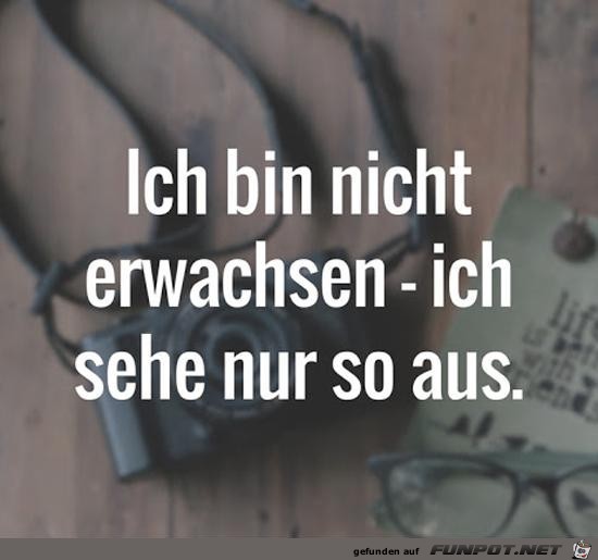 Ich sehe nur so aus Ich sehe nur so aus