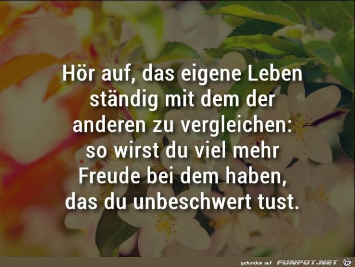 Hoer auf Hoer auf