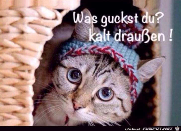Was guckst du so Was guckst du so