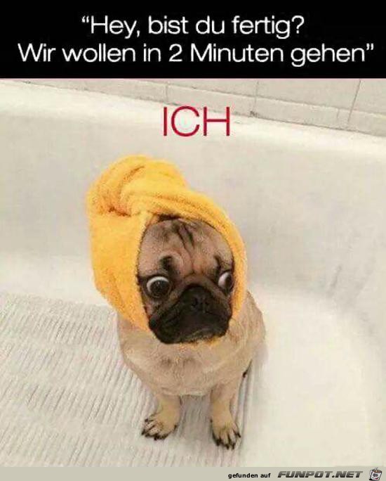 Noch nicht ganz fertig Noch nicht ganz fertig