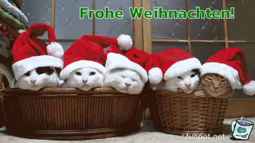 Frohe Weihnachten Frohe Weihnachten