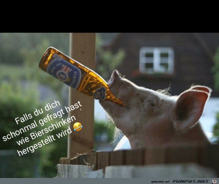 Wie wird Bierschinken hergestellt Wie wird Bierschinken hergestellt