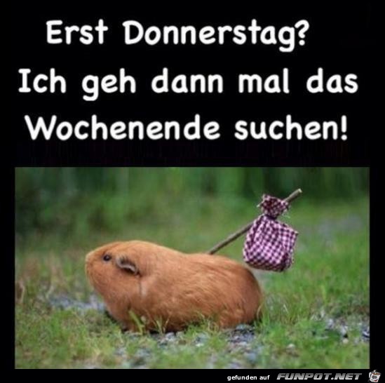 erst Donnerstag....... erst Donnerstag.......