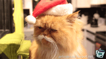Lustige animierte Weihnachtsbilder