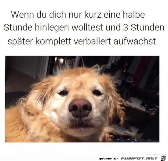Durch den Wind Durch den Wind