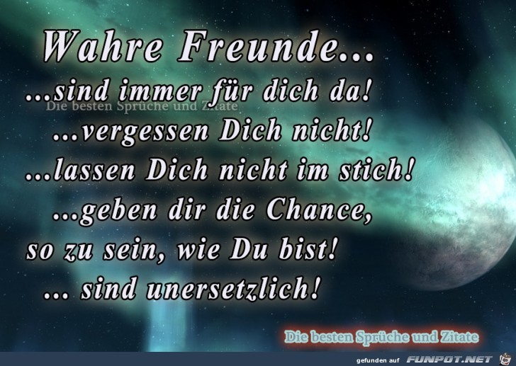 Wahre Freunde Wahre Freunde