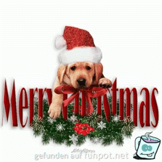 Merry xmas Merry xmas