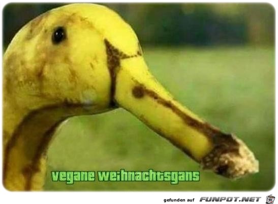 Weihnachtsgans Weihnachtsgans