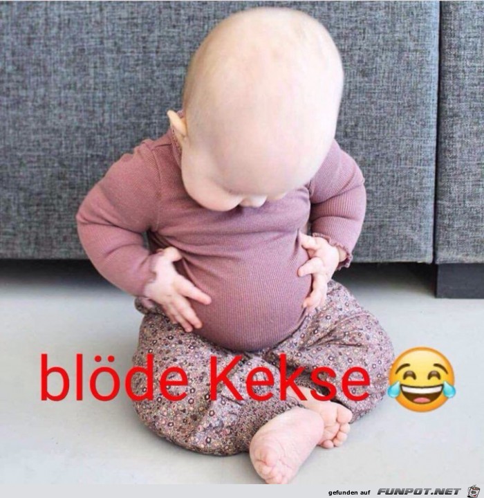 bloede Kekse bloede Kekse