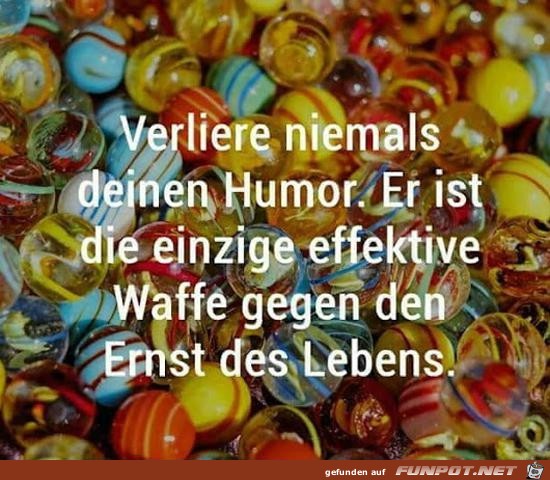 Verliere nie deinen Humor Verliere nie deinen Humor