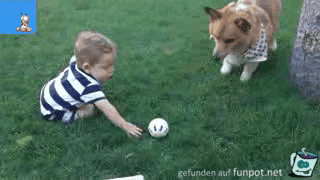 Wie lieb Wie lieb