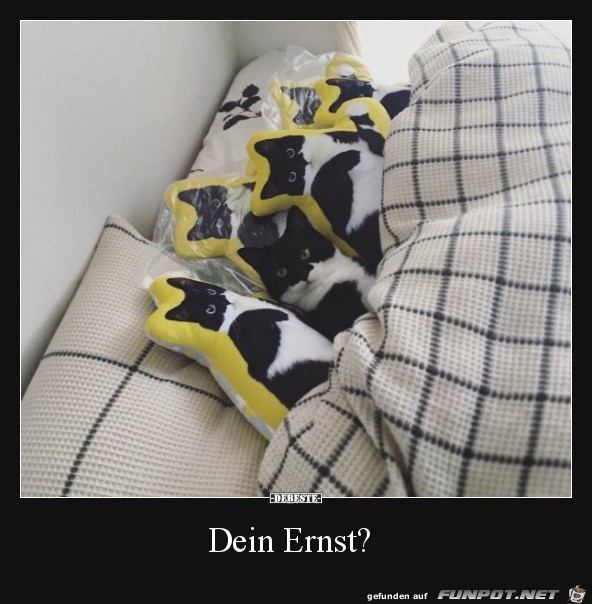 Dein Ernst? Dein Ernst?
