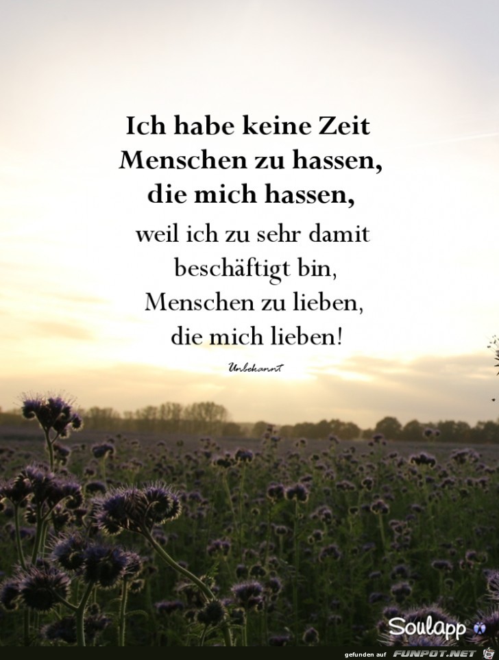 Habe keine Zeit Habe keine Zeit