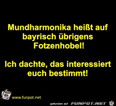 Mundharmonika Mundharmonika