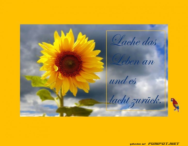 Lache das Leben an Lache das Leben an