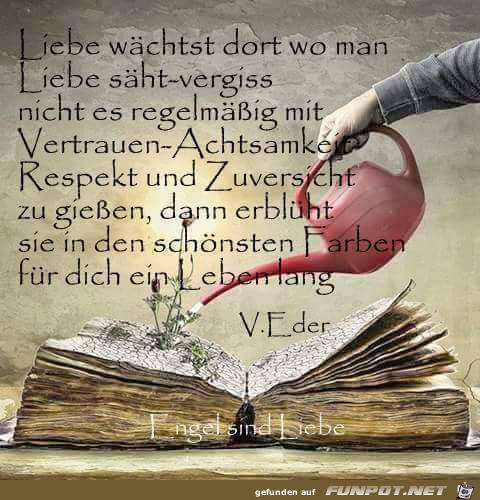 Liebe waechst Liebe waechst