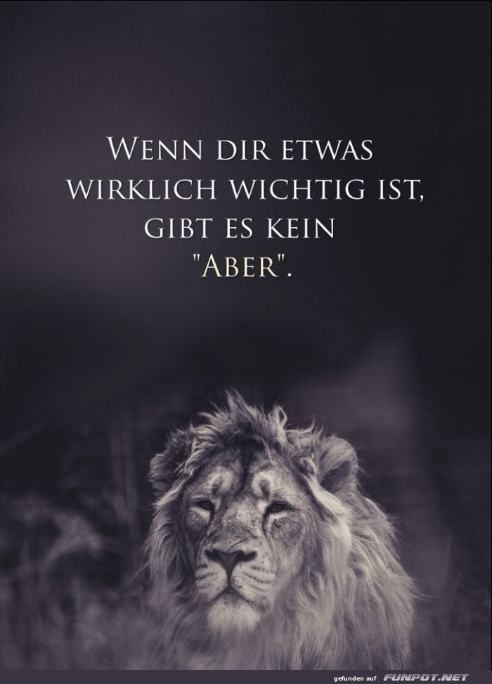 Kein Aber Kein Aber