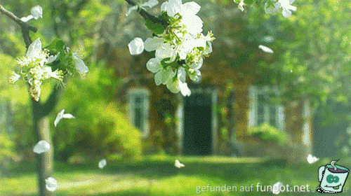 Frühlingsgefühle Frühlingsgefühle