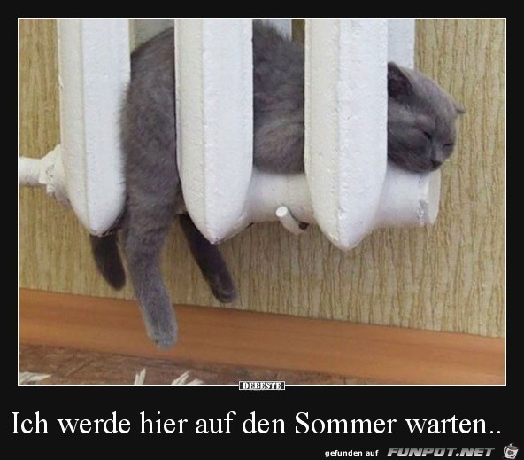 warten auf den Sommer...... warten auf den Sommer......
