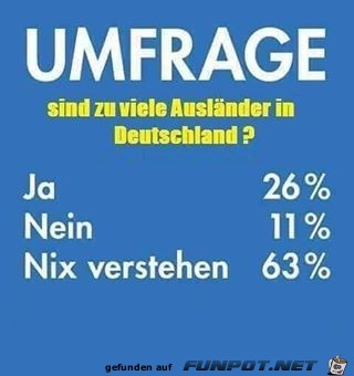 Super Umfrage Super Umfrage