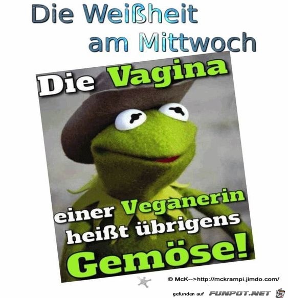 Lustige vagina bilder