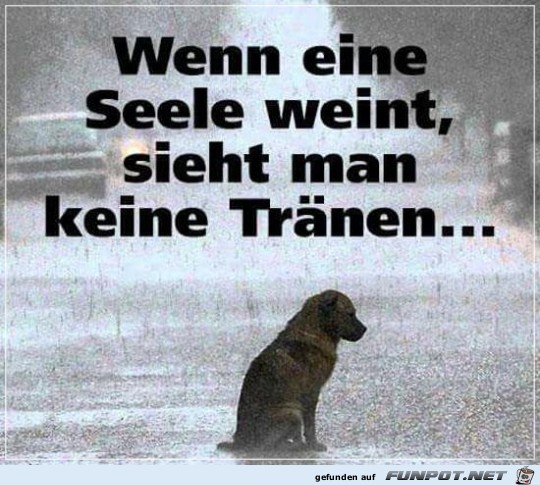 10 schne Sprche und Lebensweisheiten aus...