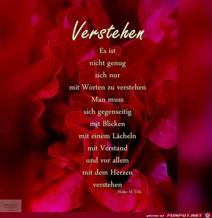 Verstehen Verstehen