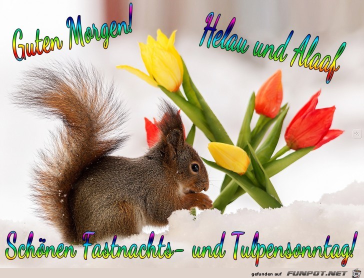 Tulpensonntag Tulpensonntag