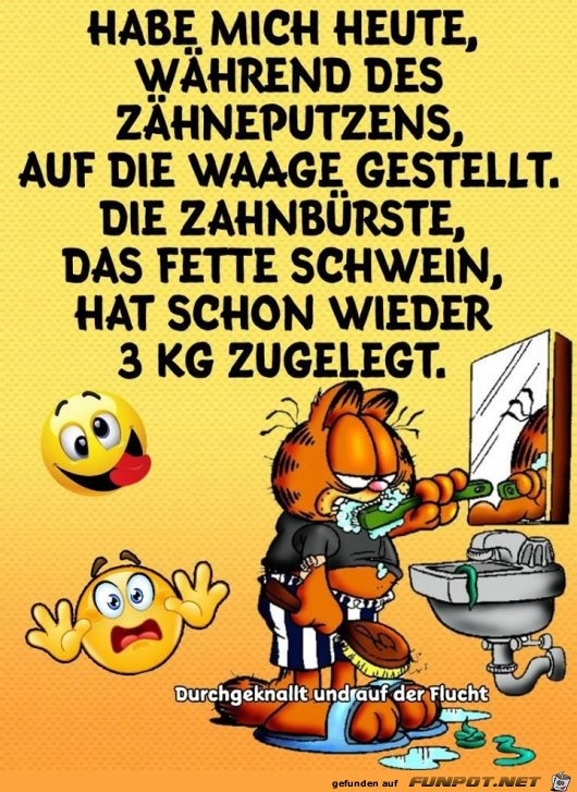 Auf die Waage gestellt Auf die Waage gestellt
