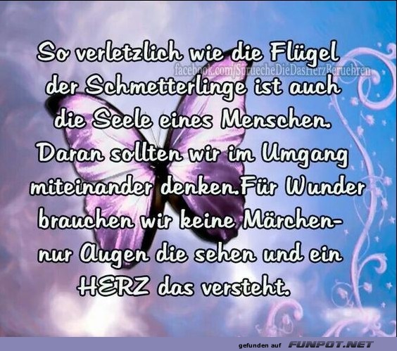so verletzlich wie die Flgel des Schmetterlings.......