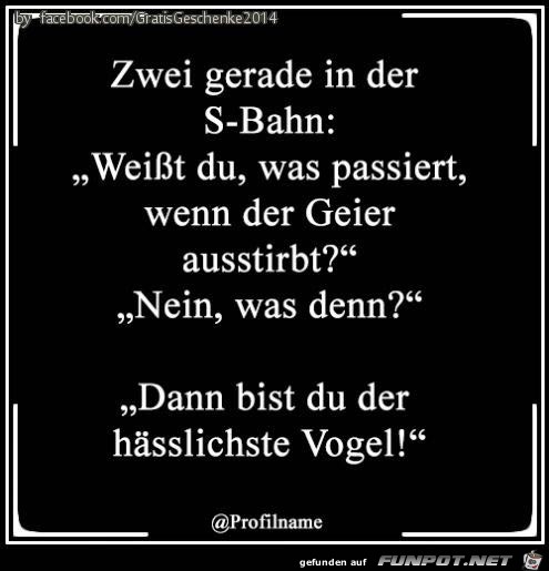 Du bist der hsslichste Vogel